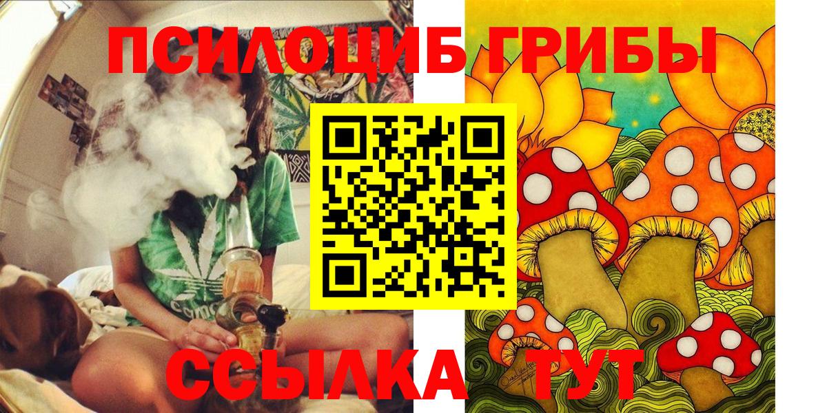 Галлюциногенные грибы Psilocybe Киров