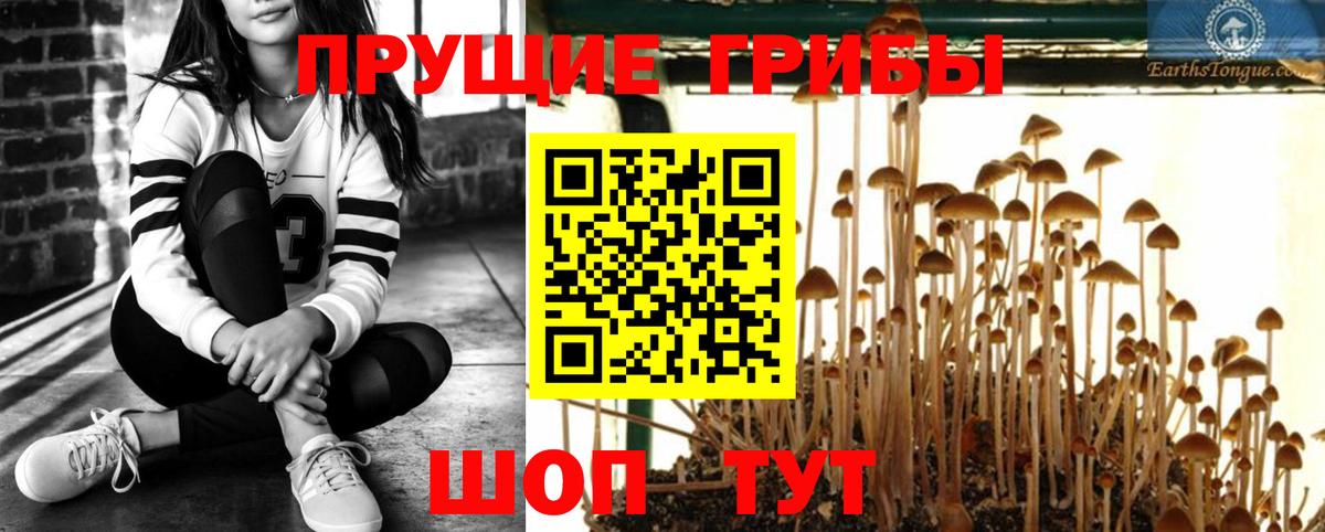 Галлюциногенные грибы Cubensis  Вход с VPN  закладка  Псилоцибиновые грибы Psilocybine cubensis  Киров 